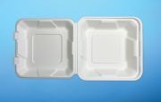 EPS MEAL BOX  