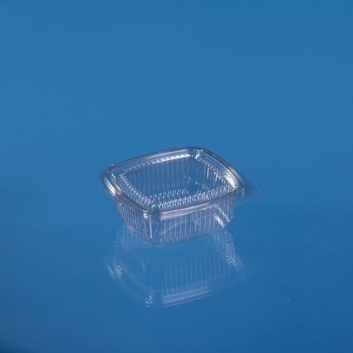 PET HINGED LID CONTAINER 250 ML