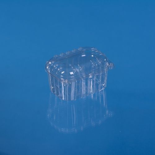 PET HINGED LID FRUIT CONTAINER 250 ML MYP 001 