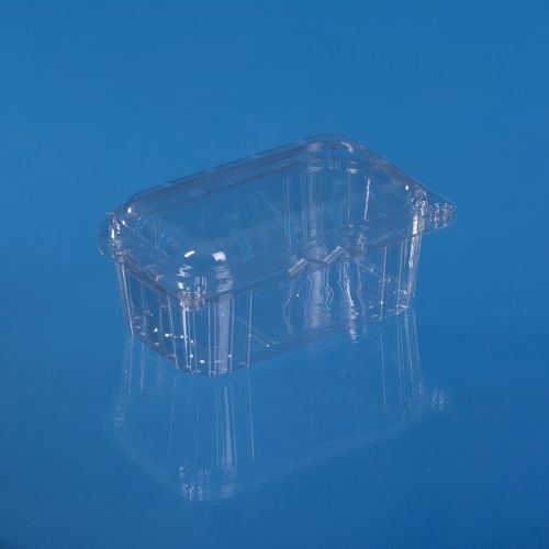 PET HINGED LID FRUIT CONTAINER 500 ML