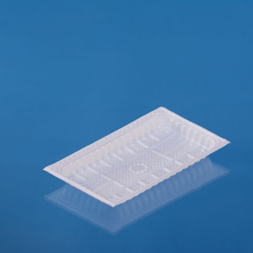 PS BIG RECTANGULAR PLATE