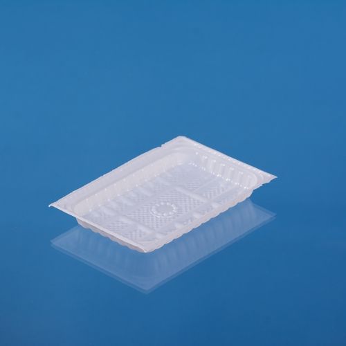 PS MEDIUM RECTANGULAR PLATE