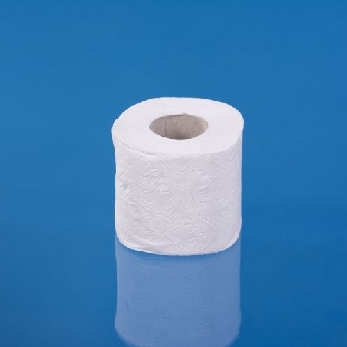 TOILET PAPER WHITE 80 GR
