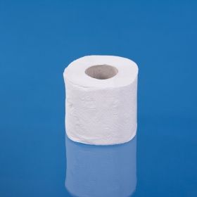 TOILET PAPER WHITE 80 GR